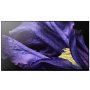 SONY KD-55AF9 Smart 4K UHD ANDROID OLED - slika 1