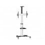 S BOX FS-446 - slika 1