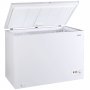 VOX GF 300 - slika 1
