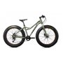 CAPRIOLO Fat Boy 26 Alloy 2016 - slika 1