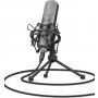 TRUST GXT 242 Lance Streaming Microphone (22614) - slika 1