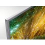 SONY KD-49XH8077 SAEP 4K Ultra HD  SMART - slika 4