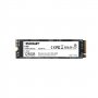 PATRIOT M.2 NVMe 128GB Patriot P300 1600MBs/600MBs P300P128GM28 - slika 1