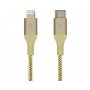 PROMATE UniLink-LTC2 Kabl USB type C zlatni - slika 1