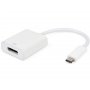 E-GREEN Adapter USB 3.1 tip C (M) - Display Port (F) beli - slika 1