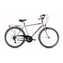 CAPRIOLO CITYSIX MAN 28''HT sivo - slika 1