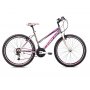 CAPRIOLO MTB Passion lady sivo-ljubičasta - slika 1