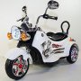 HOLLICY Motor sa prikolicom - slika 2