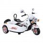 HOLLICY Motor sa prikolicom - slika 1