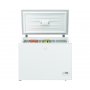 BEKO HSA 47520 F horizontalni zamrzivač - slika 1