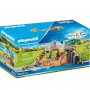 PLAYMOBIL Family Fun Lavovi - slika 1