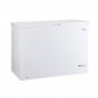 VOX GF 300 F - slika 1