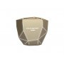 XOOPAR GEO SPEAKER - Bluetooth - Gold with White LED - slika 1
