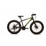 CAPRIOLO MTB CAPRIOLO MAMMUT 26'' zeleno - slika 1