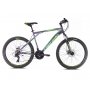 CAPRIOLO MTB ADRENALIN 26''/21DISK sivo-zelena (919425-18) - slika 1