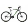 CAPRIOLO MTB ADRENALIN 29''/21HT siva-zelena (919434-23) - slika 1