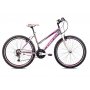 CAPRIOLO MTB PASSION L 26''/18HT sivo-ljubicasto (919382-17) - slika 1