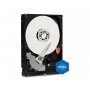 WESTERN DIGITAL WD Hard disk 3,5'' SATA 500GB Blue WD5000AAKX - slika 2