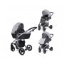 LORELLI BERTONI KOLICA RIMINI PREMIUM COOL GREY STARS (2021) - slika 1