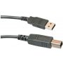 MS KABL MS USB 2.0 A-B kabl 5M, AM – BM RETAIL - slika 1