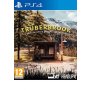 Merge Games PS4 Truberbrook - slika 1