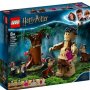 LEGO 75967 ZABRANJENA ŠUMA: SUSRET SA AMBRIDŽOVOM - slika 1