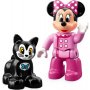 LEGO DUPLO 10873 MININA ROĐENDANSKA ŽURKA - slika 3