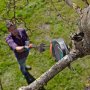 GARDENA GA 12001-20 Teleskopski rezač grana 410 Plus StarCut - slika 2