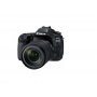 CANON EOS 80D+18-135mm IS nano USM - slika 1