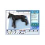 Ubisoft Entertainment Imagine Pet Hospital - slika 1