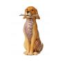 JIM SHORE Brewster (Dog With Stick) - slika 1