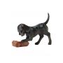 JIM SHORE Buster (Dog With Shoe) - slika 1