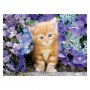 CLEMENTONI PUZZLE 500 GATTINO ROSSO HQC - slika 2
