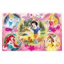 CLEMENTONI PUZZLE 2X60 PRINCESS - slika 3