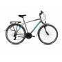 CAPRIOLO Roadster man sivo-tirkiz 921601-20 - slika 1