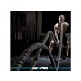 LivePro Kanap za Crossfit sa aluminijumskim drškama 9m, f38mm - LP8173 - slika 2